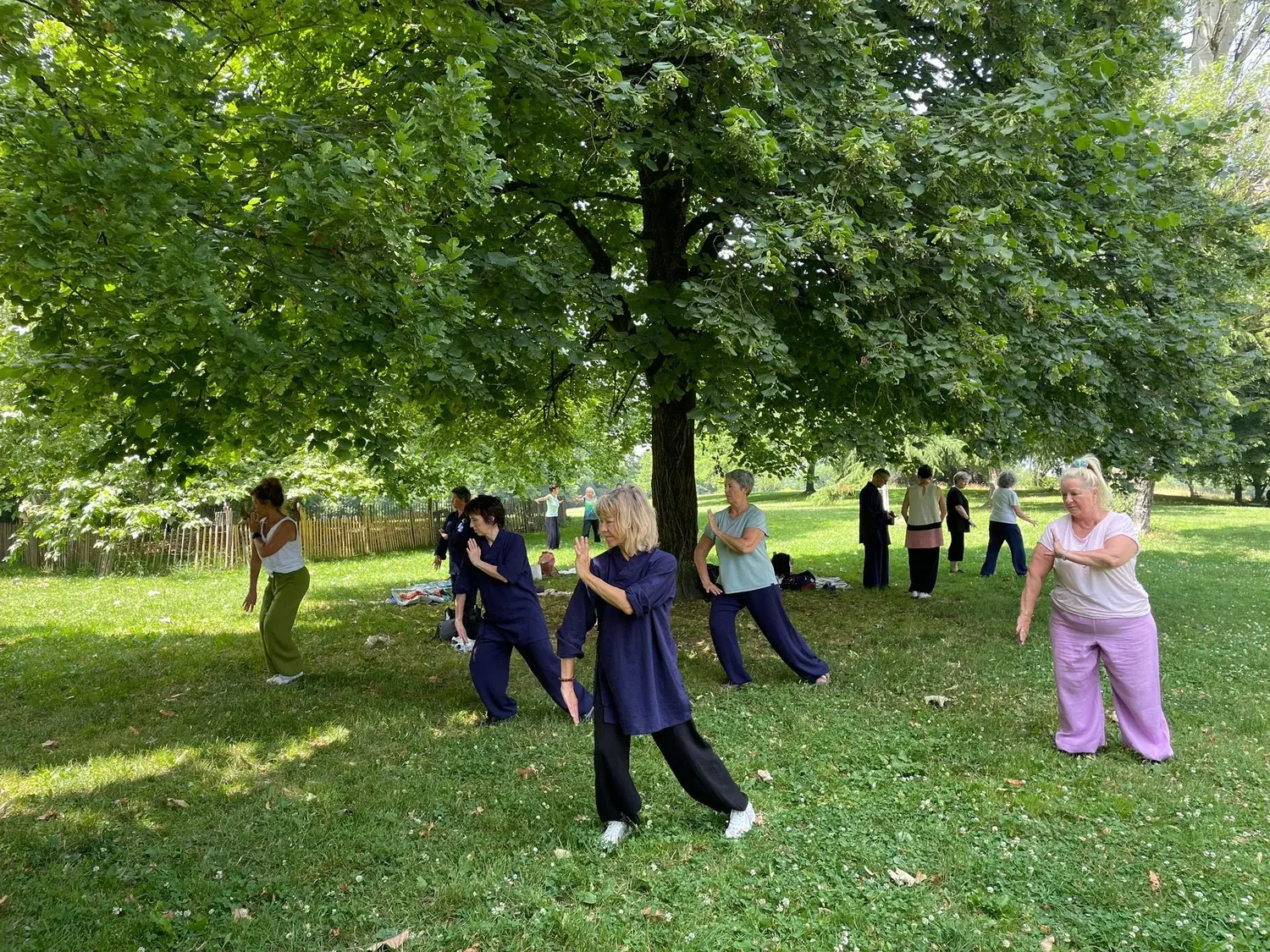 Posture de Taiji Quan