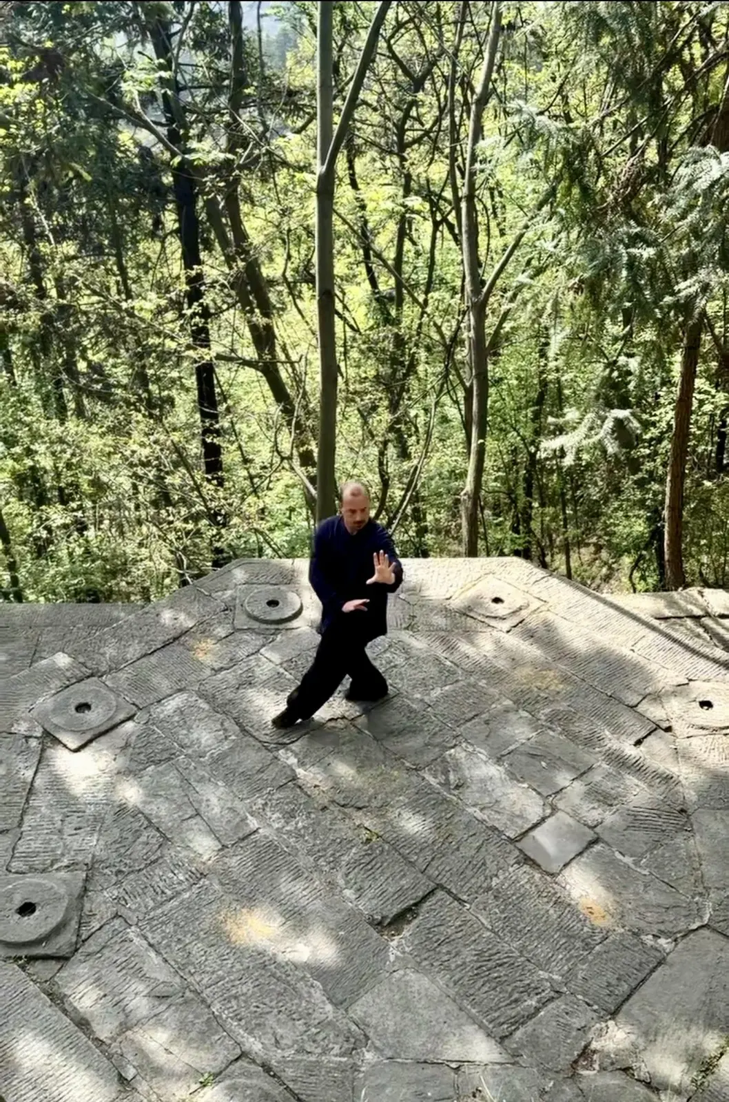 Pratique du Bagua Zhang